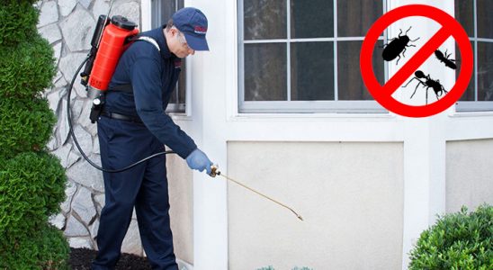 Söğütlü Gümüşkurt İlaçlama böcek ilaçlama ve haşere kontrolü — ilaclama-tr.com